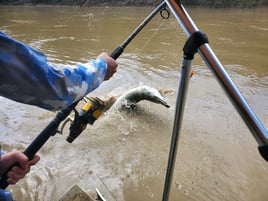 Gar Fishing Trip