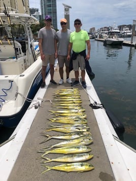 Miami Beach Sportfishing Trip