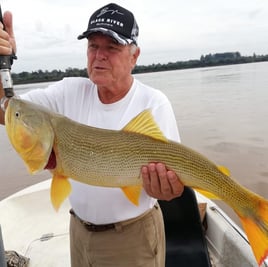 Golden Dorado Fishing in Young, Uruguay