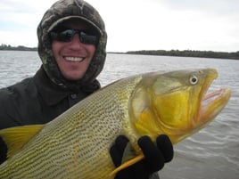 Golden Dorado Fishing in Young, Uruguay