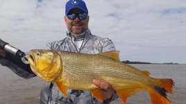 Golden Dorado Fishing in Young, Uruguay