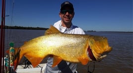 Golden Dorado Fishing in Young, Uruguay