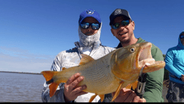 Golden Dorado Fishing in Young, Uruguay