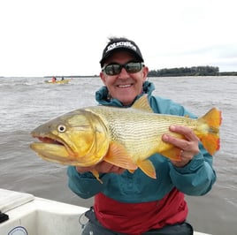 Golden Dorado Fishing in Young, Uruguay