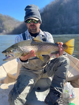 Trout Adventure on the Clinch