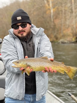 Trout Adventure on the Clinch