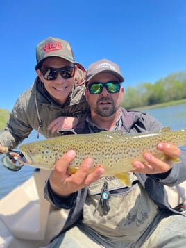 Trout Adventure on the Clinch