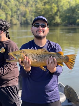 Trout Adventure on the Clinch