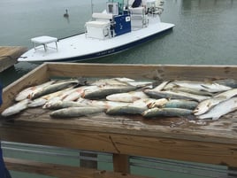 Laguna Madre Inshore Trip