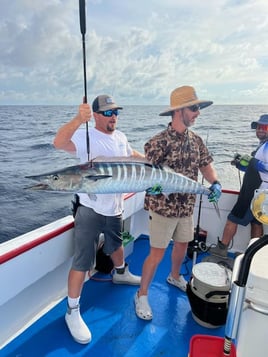 Wahoo Fishing in Panama City Beach, Florida