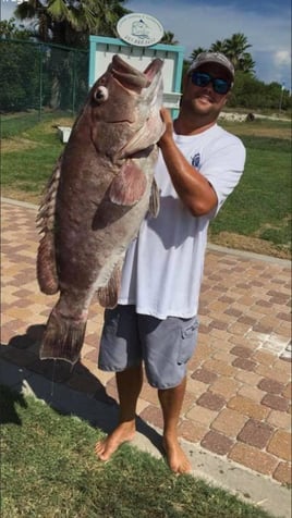 Tripletail Fishing in Orange Beach, Alabama