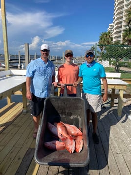 Orange Beach Offshore Reef Fishing