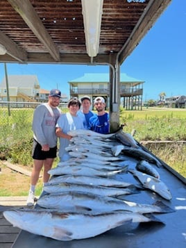 Bay Fishing Trip