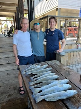 Galveston Trout and Redfish Roundup