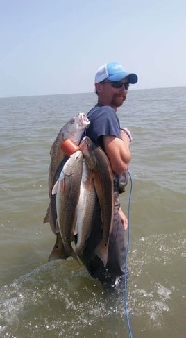 Redfish Fishing in Galveston, Texas