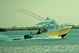 Offshore Fishing (Federal) - 32’ Sailfish Express