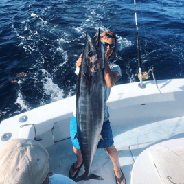 Wahoo Fishing in Destin, Florida