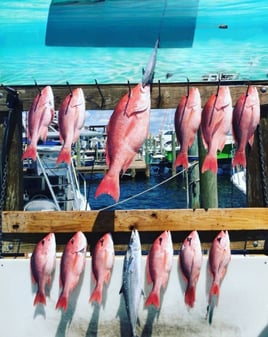 Destin Fishing Excursion