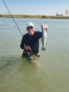 Speckled Trout Fishing in Aransas Pass, Texas