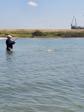 Backwaters Catch and Release