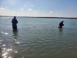 Backwaters Catch and Release