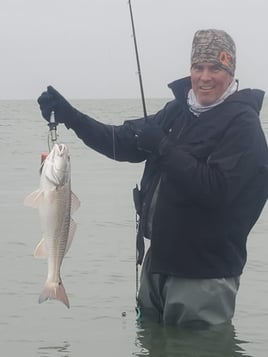 Redfish Fishing in Aransas Pass, Texas