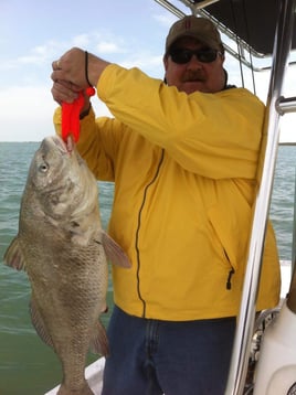 Black Drum Fishing in Aransas Pass, Texas