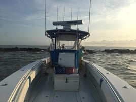 Galveston Bay Jetty Run