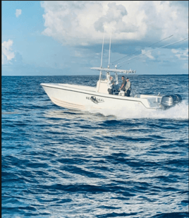 Reef Fishing Action