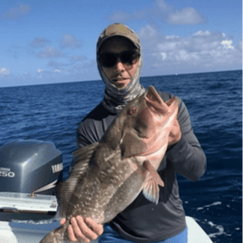 Reef Fishing Action