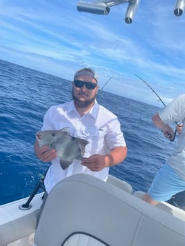 Triggerfish Fishing in Charleston, South Carolina