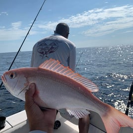 Charleston Deep Sea Offshore