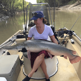 Garzilla Gar Fishing Near Palestine