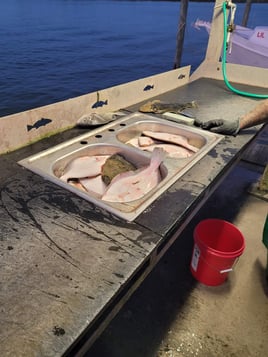 Flounder Fishing in Port O'Connor, Texas