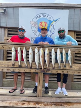 Speckled Trout Fishing in Corpus Christi, Texas