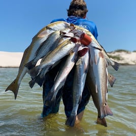 Redfish, Speckled Trout Fishing in Corpus Christi, Texas