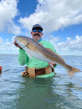 Rockport Bay-Full Day Fishing