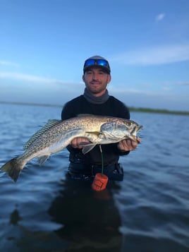 Rockport Bay-Full Day Fishing