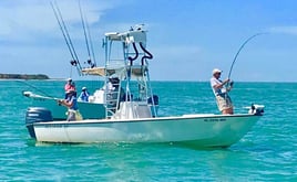 Bokeelia Tarpon Fishing