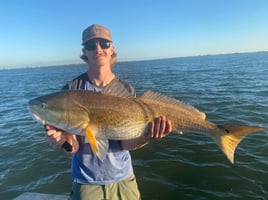 Redfish Fishing in Port O'Connor, Texas