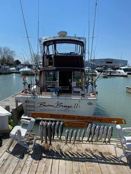 Lake Michigan 6 Hour Trip