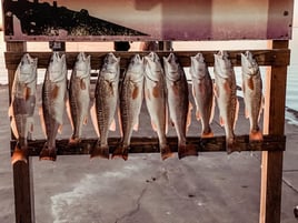 Speckled Trout Fishing in Rockport, Texas