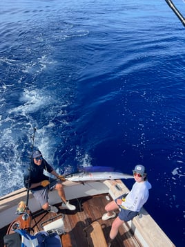 Spearfish Fishing in Kailua-Kona, Hawaii