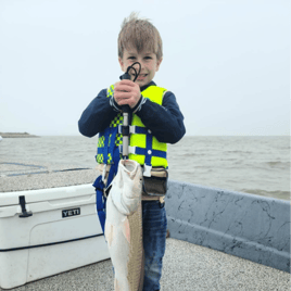 Galveston Catch and Release Only