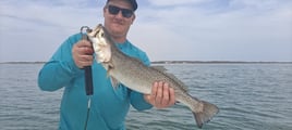 Full Day Flats & Inshore Slam