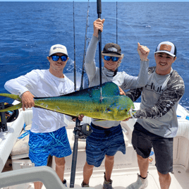 Gulf Stream Pelagics and Bottom Dwellers