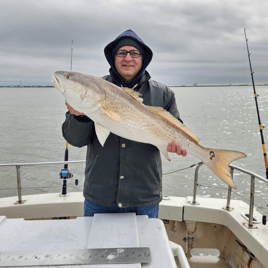 Bay or Jetty Fishing