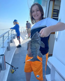 Black Seabass Fishing in Port Washington, New York