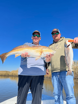 Galveston Bay Trout/Redfish