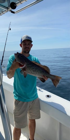 Full Day Fishing Trip - 24' Robalo